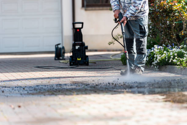 Best Commercial Building Pressure Washing  in Truman, MN