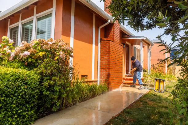 Best Best Pressure Washing Companies  in Truman, MN