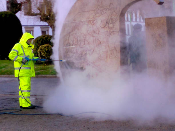 Best Garage Pressure Washing  in Truman, MN