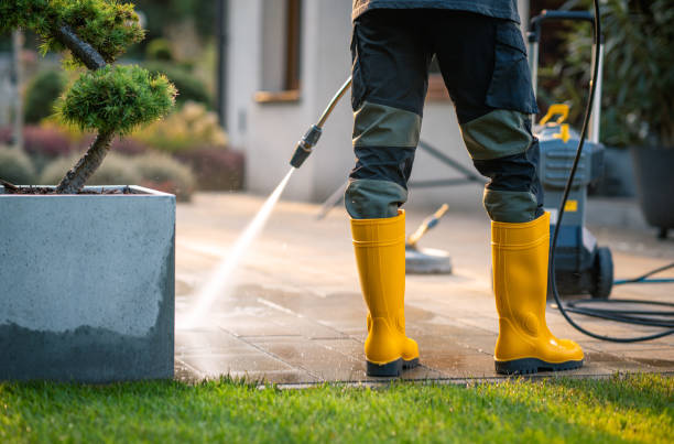 Best Power Washing Near Me  in Truman, MN